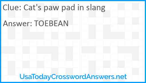 Cat's paw pad in slang Answer