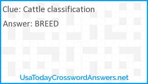 Cattle classification Answer