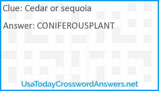 Cedar or sequoia Answer