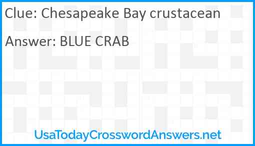 Chesapeake Bay crustacean Answer