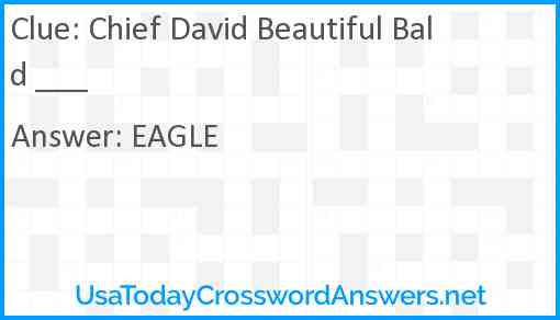 Chief David Beautiful Bald ___ Answer