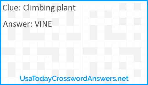 Climbing plant Answer
