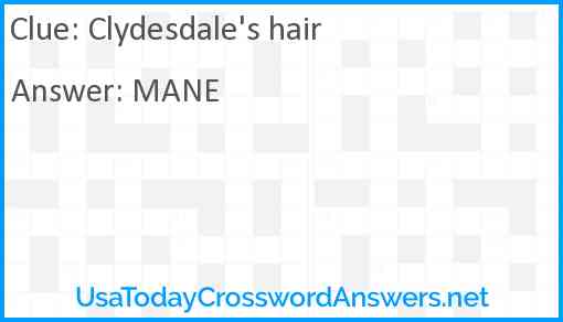 Clydesdale's hair Answer