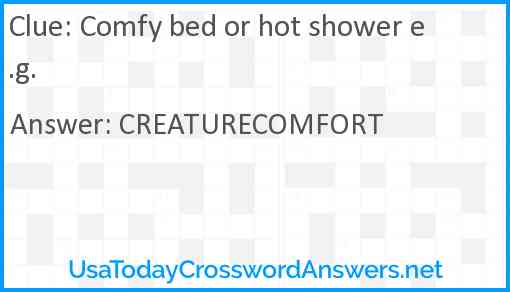 Comfy bed or hot shower e.g. Answer
