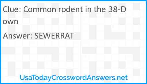 Common rodent in the 38-Down Answer