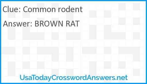Common rodent Answer