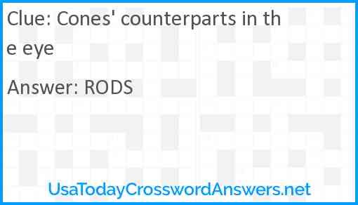 Cones #39 counterparts in the eye crossword clue