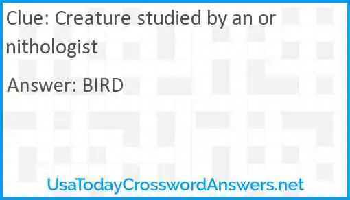 Creature studied by an ornithologist Answer