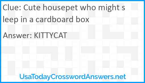 Cute housepet who might sleep in a cardboard box Answer