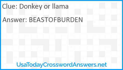 Donkey or llama Answer
