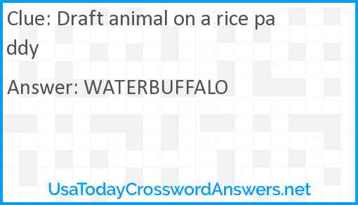 Draft animal on a rice paddy Answer