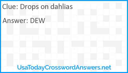 Drops on dahlias Answer