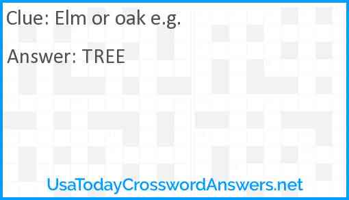 Elm or oak e.g. Answer
