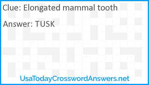 Elongated mammal tooth Answer