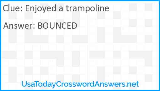 Enjoyed a trampoline Answer