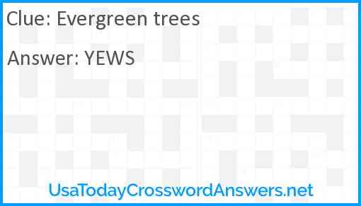Evergreen trees Answer