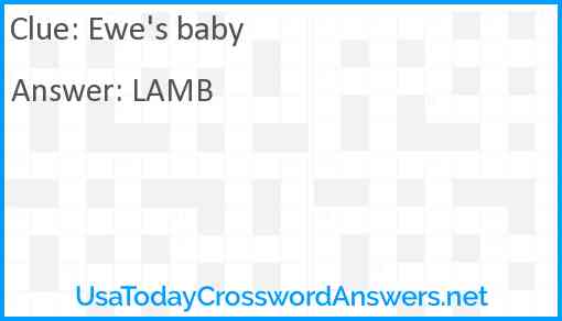Ewe's baby Answer