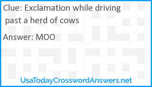 Exclamation while driving past a herd of cows Answer