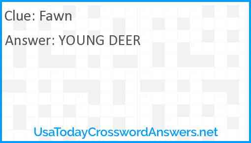 Fawn Answer