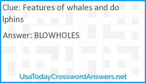 Features of whales and dolphins Answer