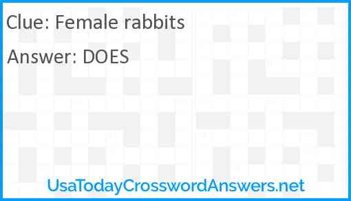 Female rabbits Answer