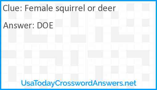 Female squirrel or deer Answer