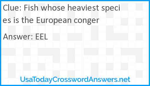 Fish whose heaviest species is the European conger Answer
