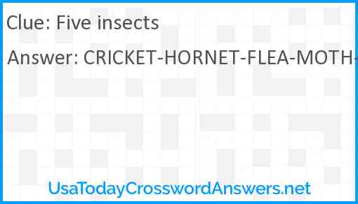 Five insects Answer