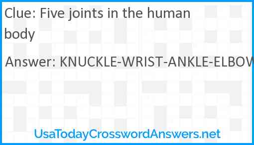 Five joints in the human body Answer