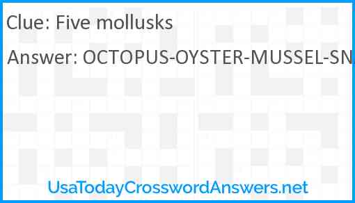 Five mollusks Answer