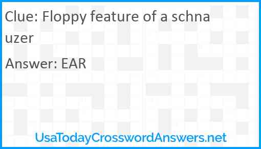 Floppy feature of a schnauzer Answer