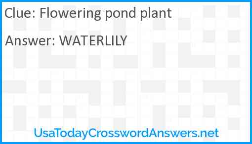 Flowering pond plant Answer