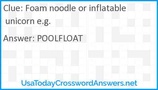 Foam noodle or inflatable unicorn e.g. Answer