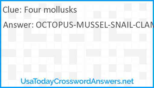 Four mollusks Answer