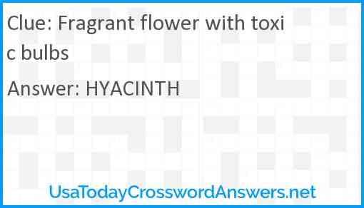 Fragrant flower with toxic bulbs Answer