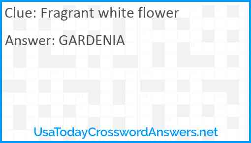 Fragrant white flower Answer