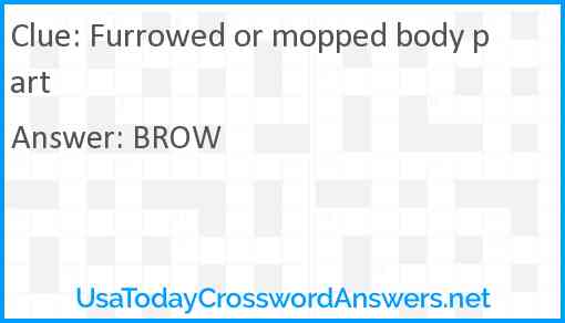 Furrowed or mopped body part Answer