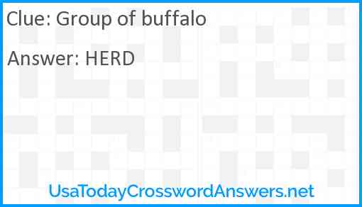 Group of buffalo Answer
