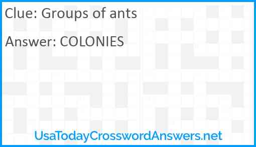 Groups of ants Answer