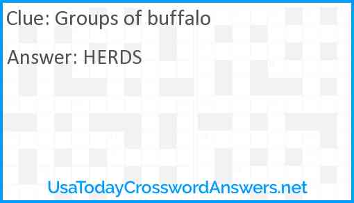 Groups of buffalo Answer