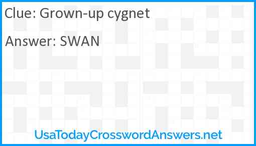 Grown-up cygnet Answer