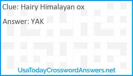 Hairy Himalayan ox Answer