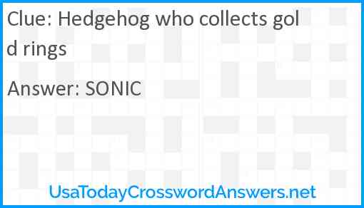 Hedgehog who collects gold rings Answer