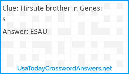 Hirsute brother in Genesis Answer