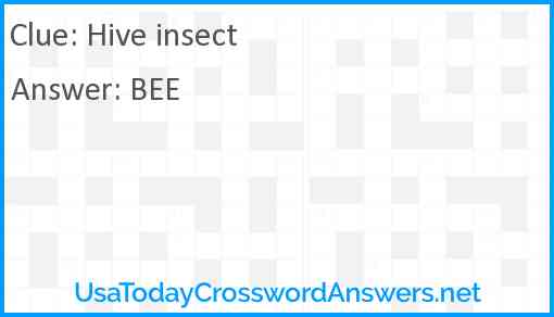 Hive insect Answer