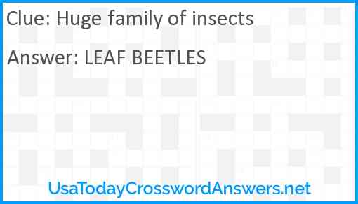Huge family of insects Answer