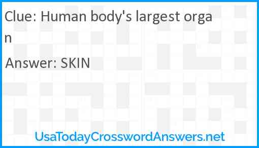 Human body's largest organ Answer