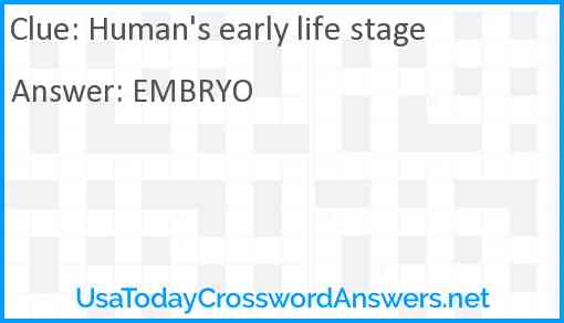 Human's early life stage Answer