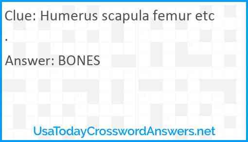 Humerus scapula femur etc. Answer