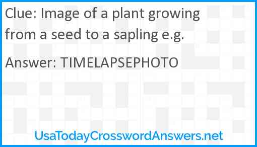 Image of a plant growing from a seed to a sapling e.g. Answer